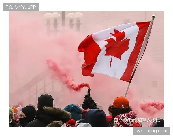 加拿大男足近期国际比赛表现平稳，主场阵容磨合情况逐步清晰。